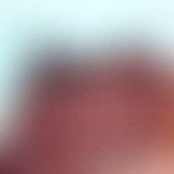 Die Stadt Nürnberg und die Opernhaus-Sanierung: Eine Debatte um Kultur, Kosten und Identität