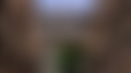 Kultur ohne eigenes Referat: Nürnbergs neue Machtarchitektur wirft Fragen auf