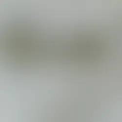 Flüchtlingsunterkunft Witschelstraße: Führung soll Verständnis schaffen