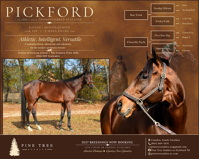 Pickford Stallion.png