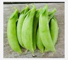 थंबनेल: Sugar Daddy Stringless Snap Peas, Organic Seeds, Pisum sativum PI0150