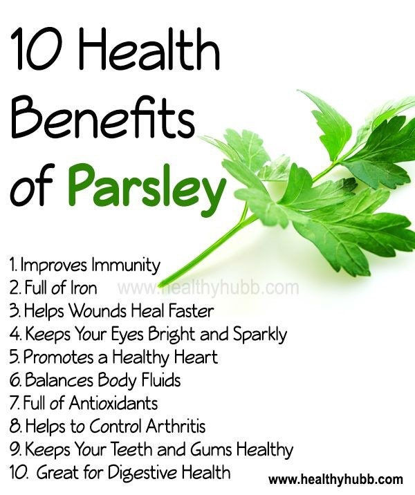 Miniatura: Organic Curled Parsley Seeds, Petroselinum Crispum, Medicinal Culinary Herb
