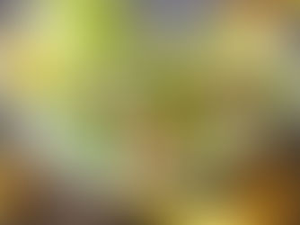 Minha dieta Flexitariana