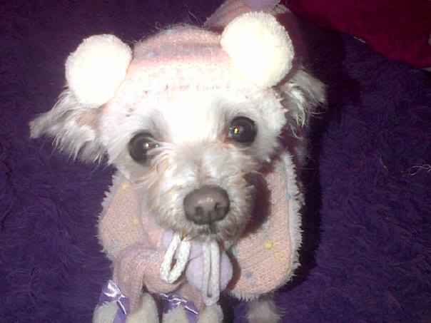 Princess Sparkles