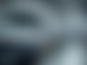 Sprinter van maintenance 