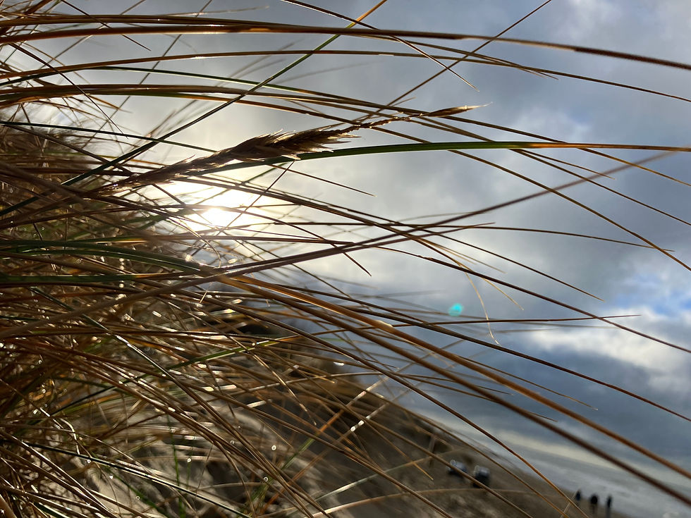 buiten 12