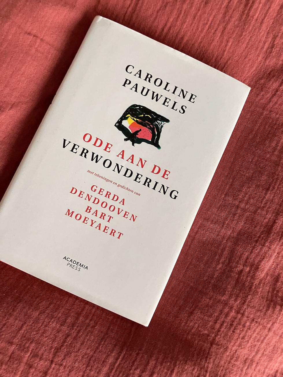 boek 12