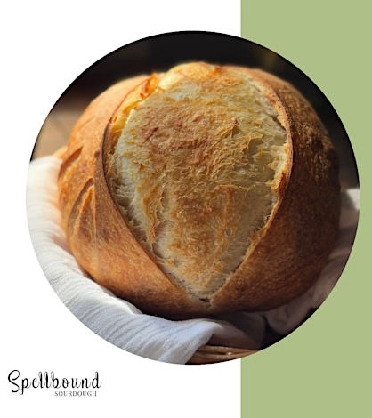 Beginner’s Sourdough ~ Armature Works