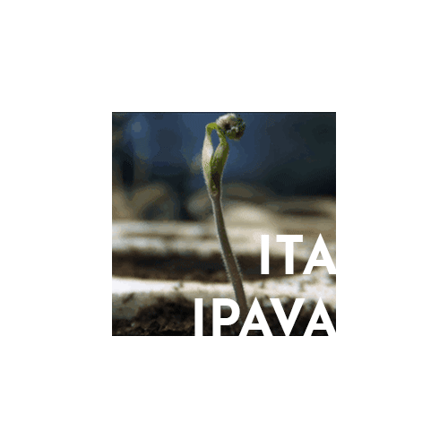 ITAIPAVA.gif