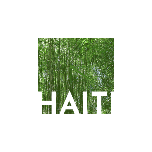 HAITI.gif