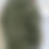 Thumbnail: Feroza Hunter Green Hoodie