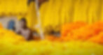 PhotoStudio_1669187557527_edited.jpg