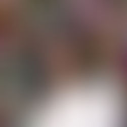 Marta Carbonell Amela