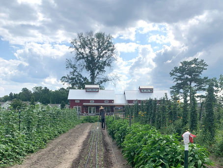 Woodside Farms & Your Everyday Life