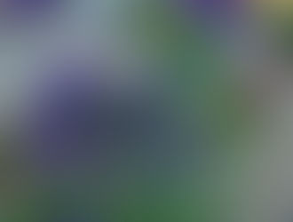 2023.05.04 庭に華やかさが
