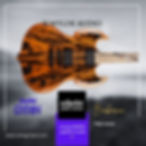 Wylde audio guitars rare and exclusive editions