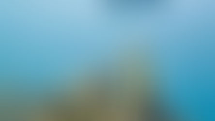 Our new efforts against SCTLD