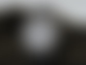 Patriot Day and Hanhart