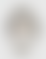 4th of July with vulcain