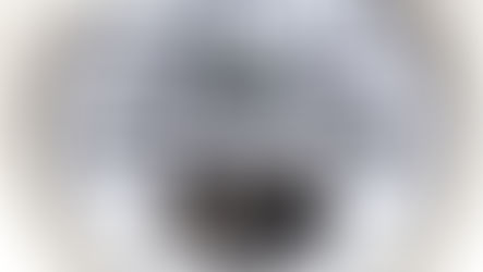 Boegli’s Musical Mechanism: A Technical Marvel