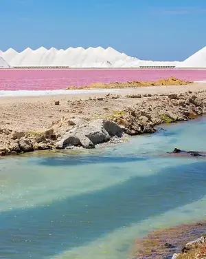 Wat te doen op Bonaire