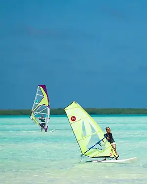 Wat te doen op Bonaire