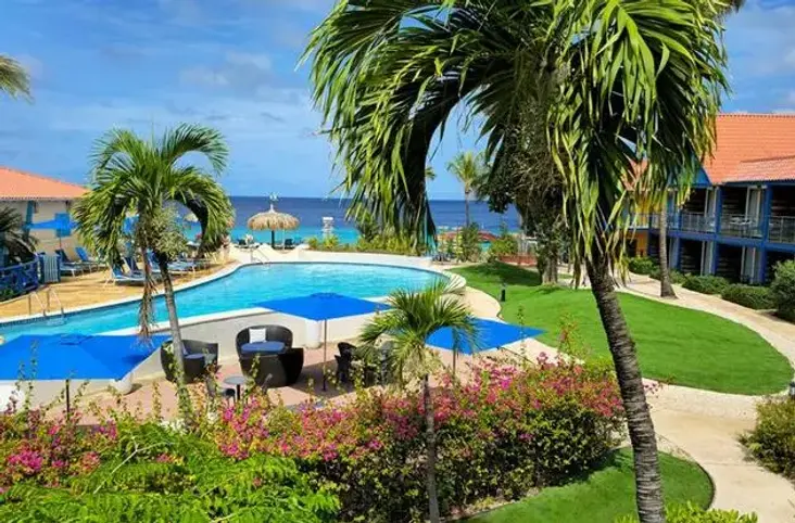 Luxe resort op Bonaire met zwembad, palmbomen en uitzicht op zee, omgeven door kleurrijke bloemen en tropische tuin