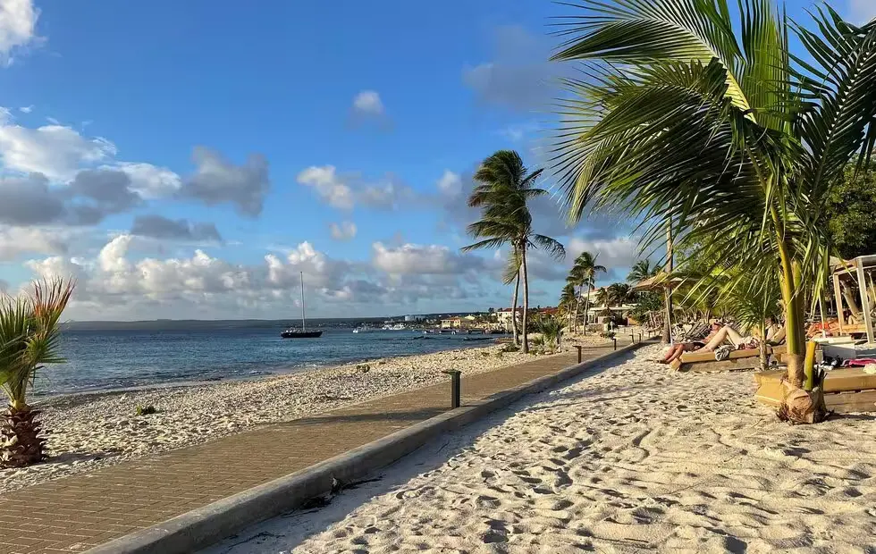 Chogogo Dive & Beach Resort Bonaire: Alles wat je wilt weten