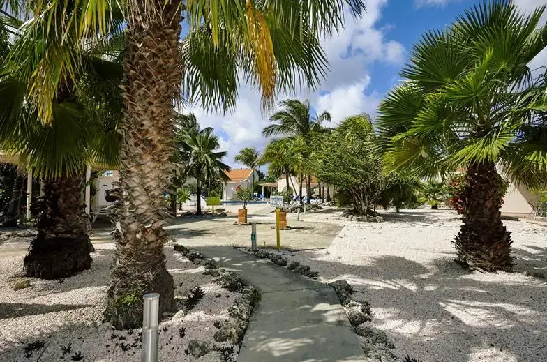 Zwembad met palmbomen en ligstoelen bij Hamlet Oasis Bonaire