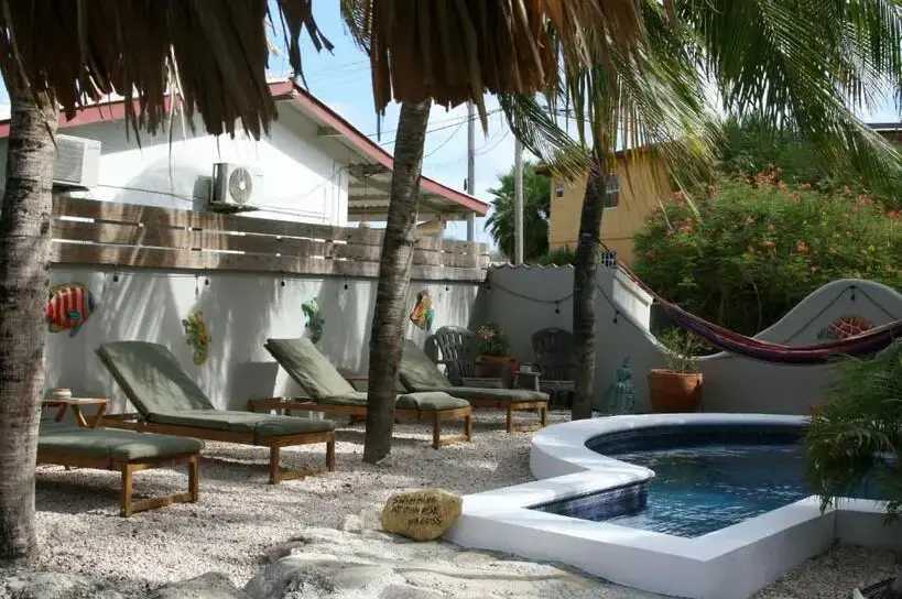 Bed en Breakfast Bonaire patio met klein zwembad ligbedden onder palmbomen en een hangmat tegen de tuinmuur