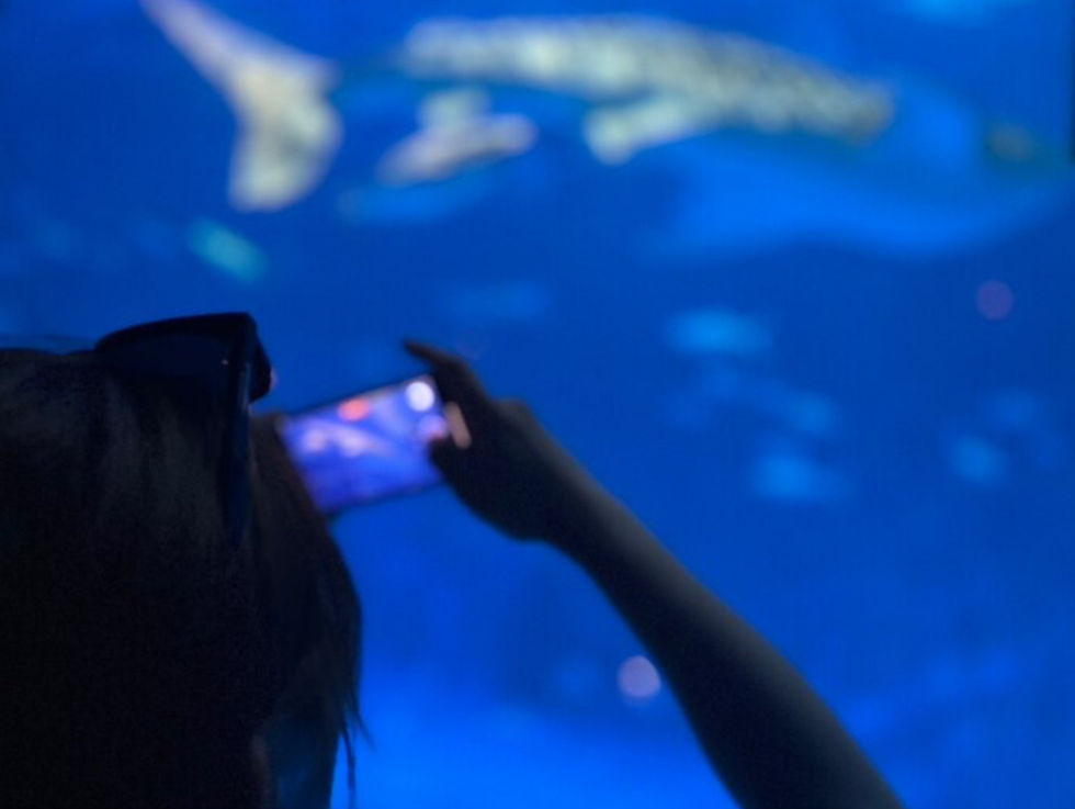 鹿児島のかごしま水族館で撮影したイルカや魚の様子。宮崎市エステ「ルスリール」オーナーの夏休み旅行でのリフレッシュシーン。
