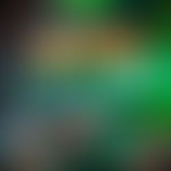 Produtores rurais têm acesso gratuito ao Coffee Connect 2025, que retorna maior e mais completo a Varginha (MG)