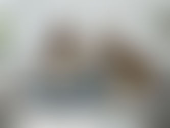 The benefits of hiring a professional House sitter