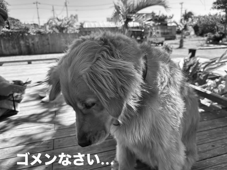 ７月２５日（土）について