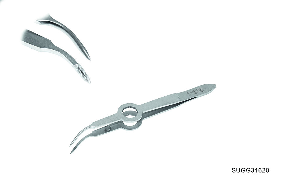 Thumbnail: Cilia and Foreign Body Forceps