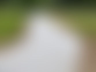 Revolutionizing Walkways: