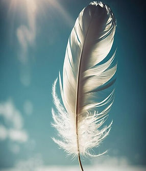 plume-blanche-soleil-qui-brille-travers-nuages_853115-1560.jpg