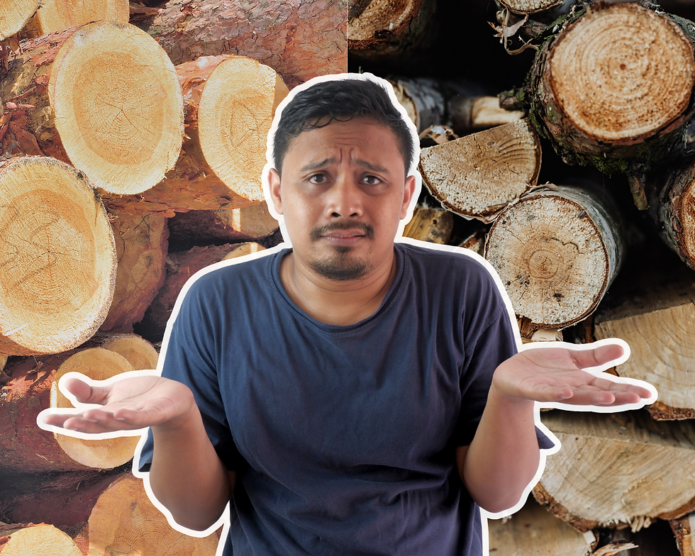 Pinus tratado ou madeira de lei: Qual a melhor escolha para a sua casa?