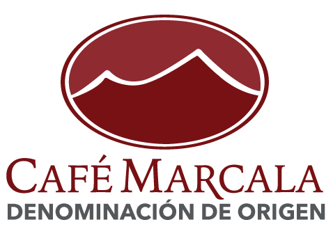 Foto del escritor: DO Marcala
