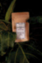 Thumbnail: Glamazonia