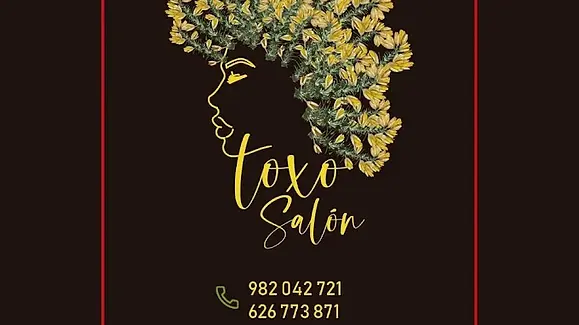 Toxo salon, peluquería, Lugo, España