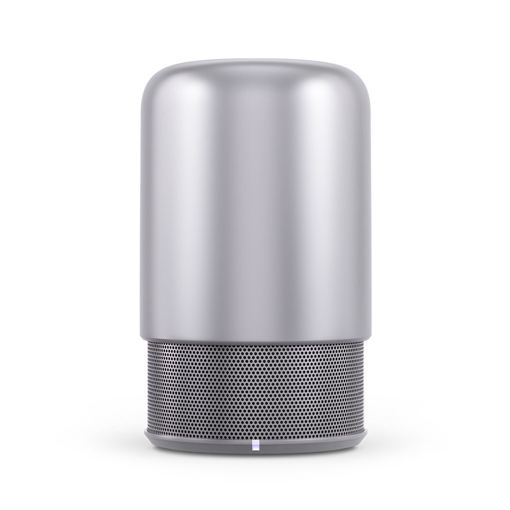 Hidden Radio Bluetooth Speaker
