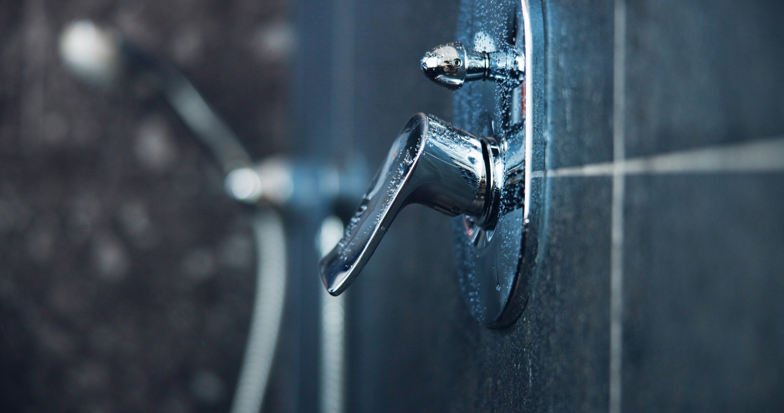 Concealed controls
