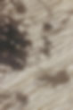 pexels-ani-coloca-1105433412-30070187.jpg