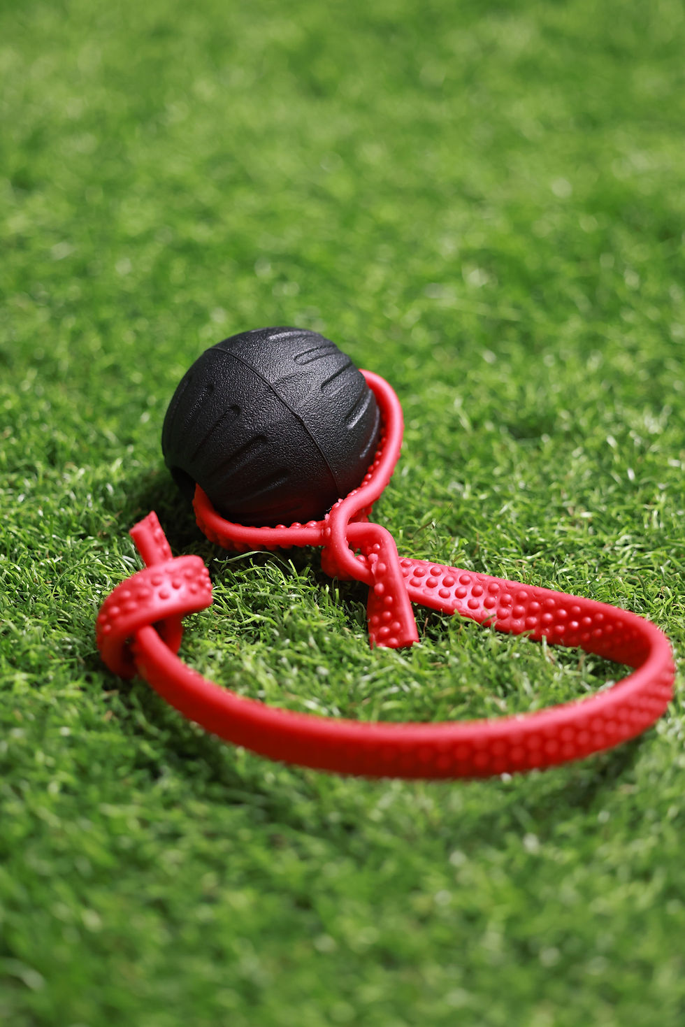 Thumbnail: MINI Foam Dog Balls - Tug Toy