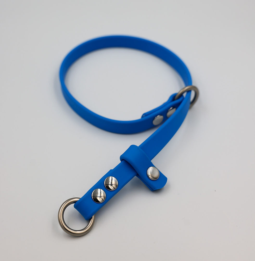 Thumbnail: MOJO Biothane Dominant Dog Collar (5/8")