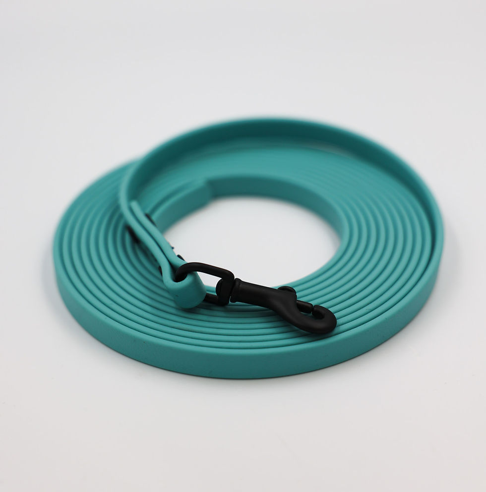 Thumbnail: MOJO Biothane Long Line - 15' x 5/8"