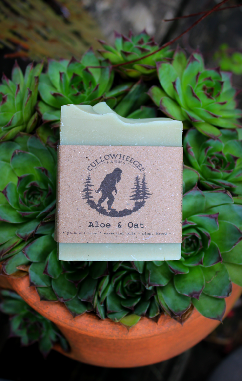 Thumbnail: Natural Body Soap- Aloe & Oat