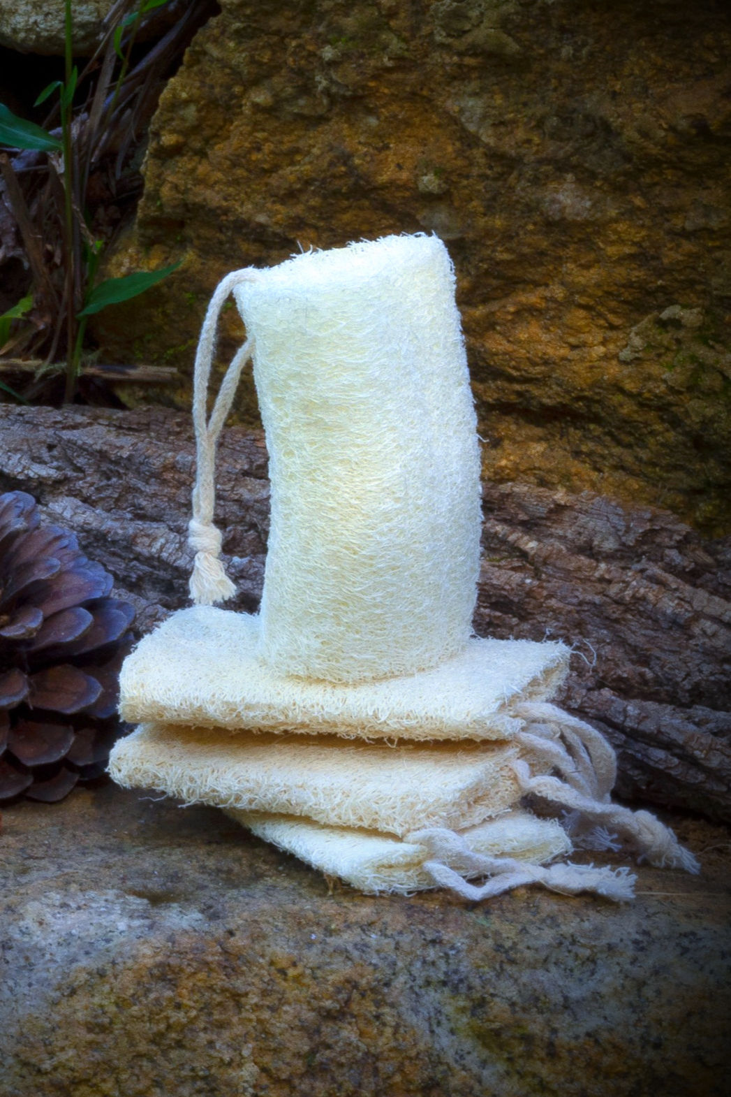 Natural Loofah Sponge- Bath & Kitchen