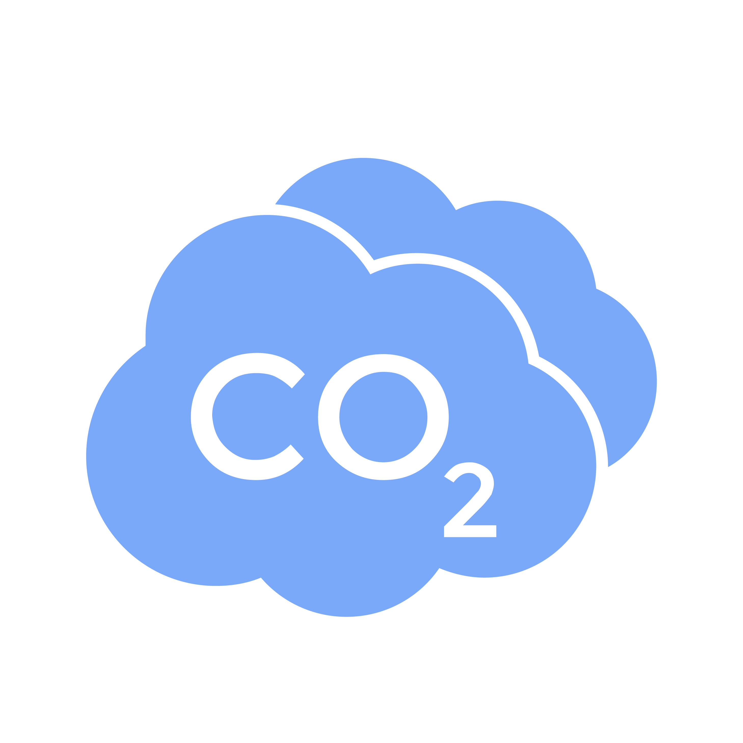 CO2 Icon.webp